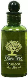 Olive Tree Shampoo Bottle 40ml