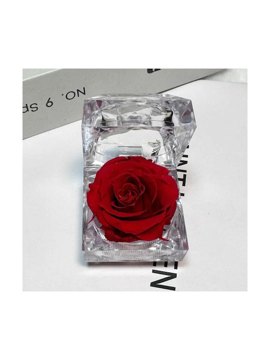 Real Preserved Rose Red Forever Rose Transparent Case Box 4.8x4.8cm Tabletop Decor