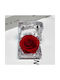 Real Preserved Rose Red Forever Rose Transparent Case Box 4.8x4.8cm Tabletop Decor