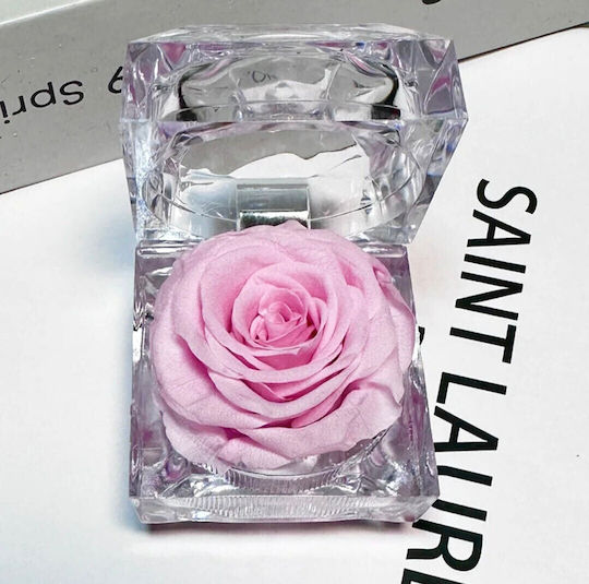 Αληθινό Διατηρημένο Τριαντάφυλλο Pink Forever Rose Διάφανη Θήκη Κουτί 4.8x4.8cm