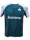 Replica Männer Fußball Trikot ΠΑΟ Weiß Grün 1345-56