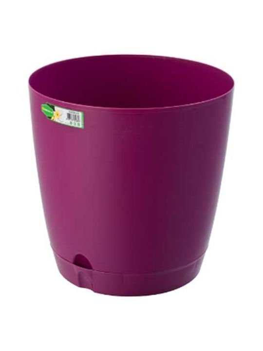 Raki Γλάστρα Purple 25x25εκ.