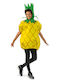 Carnival Costume Pineapple