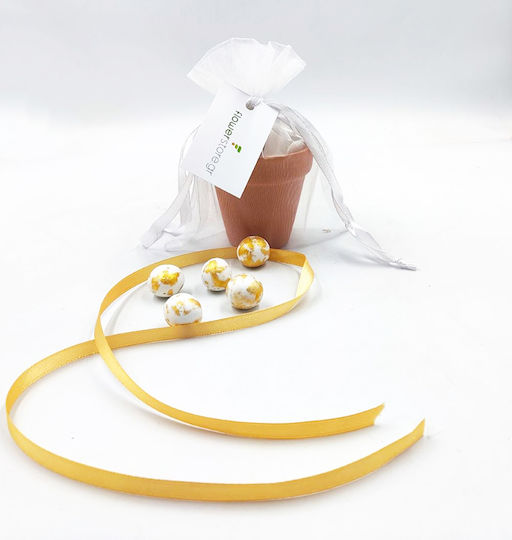 Hochzeitsgeschenke Topf & Samen Entelvay