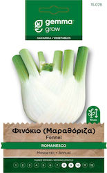 Gemma Σπόροι Φινόκιο