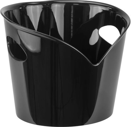 Raki Einfache Champagners Acryl mit Höhe 28cm Black