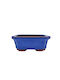 Pot Blue with Saucer 15.5x11.5x6cm.