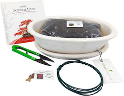 Bonsai Растителна Почва 0.2кг Bonsai Растителна Почва 0.2кг
