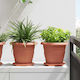 vidaXL Teller Topf Κεραμιδί - Κόκκινο 14x14cm 4...