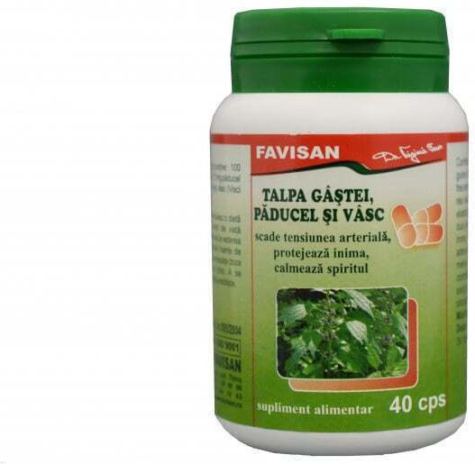 Talpa Gâștei și Crataegus și Vâsc 40 Capsule Favisan