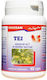 Tei 40 Capsule Favisan
