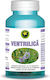 Ventrilica 60 Capsule Hypericum