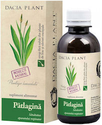 Sirop de Pătlagină 200ml Dacia Plant