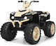 Kids Scooter Electric 12 Volt Yellow