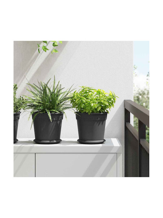 vidaXL Set 6 Ghivece Plastice Negru