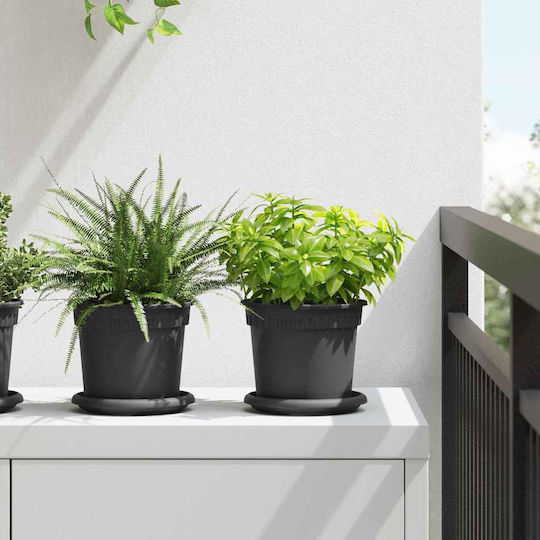 vidaXL Set of 6 Plastic Flower Pots Black 15x12cm