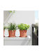 vidaXL Комплект 6 Саксии Пластмасови Light Terracotta