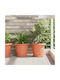 vidaXL Set 6 Ghivece Plastice Light Terracotta