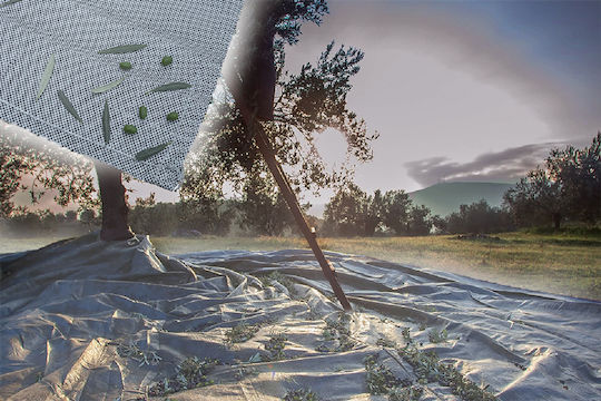 GTC Olive Sail 5x10m Density 100gr/m²