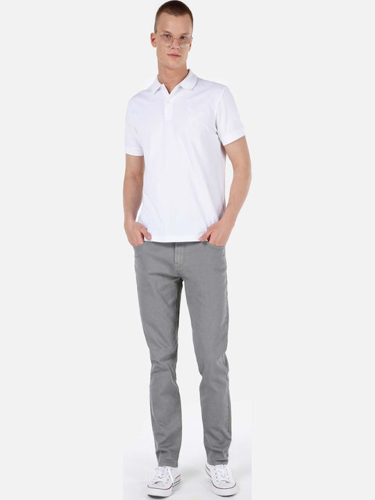Colin's Hose in Geradem Schnitt Gray