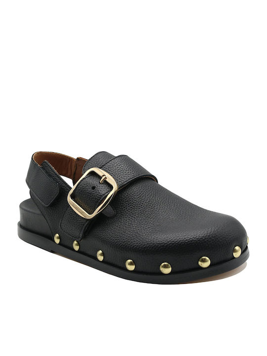 Alpe Mules with Heel in Black Color