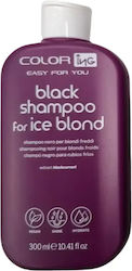 ING Shampoo Color Retention 300ml