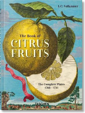 45th Edition J C Volkamer The Book Of Citrus Fruits 9783836594783