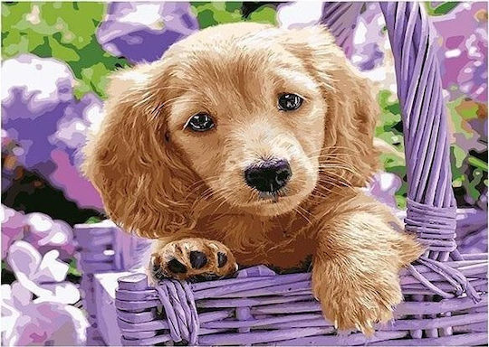 Norimpex 5d Диамантено Мозайка Куче 40x30см