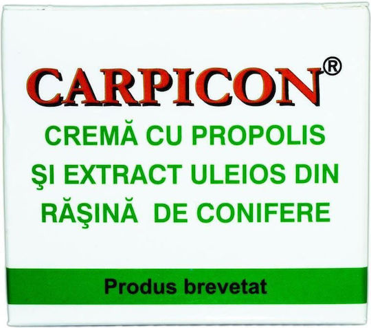 Elzin Plant Crema cu Propolis și Extract Uleios din Rășină de Conifere Cremă Hidratantă de Reconstrucție pentru Corp