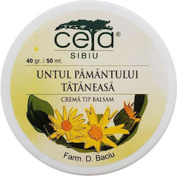 Ceta Sibiu Unguent Cu Symphyti Și Pulmonaria Cremă Pentru Vânătăi 40gr