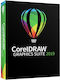 Corel Coreldraw Graphics Suite 2019 1 Pc Licență 1 An Windows Os Electronic