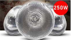 Θερμολαμπα Bongbada Λευκη 250 Watt Πεπιεσμενου Υαλου