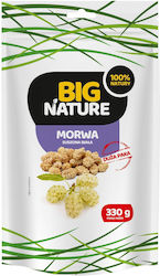 Fasole Albă Uscată 330g Big Nature