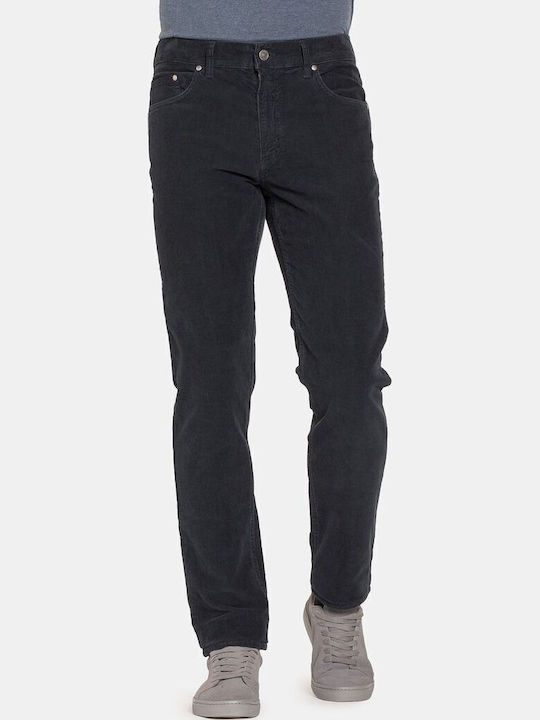Carrera Trousers Elastic in Regular Fit Blue
