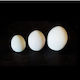 Egg Ceramic White Base 12cm