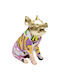 Decorative Tabletop Graffiti Pig Gold Multicolored 10.5x19x20 cm
