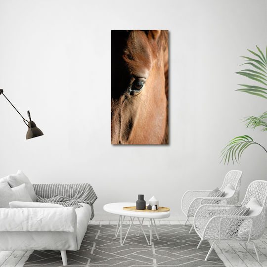 Decorative Canvas Painting Classic Or Modern Decoration Horse 60x120 Cm