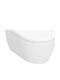 Geberit Wall-Mounted Toilet with Flush Soft Close White