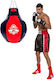 DBX Bushido Σάκος Μποξ 25kg Μαύρος