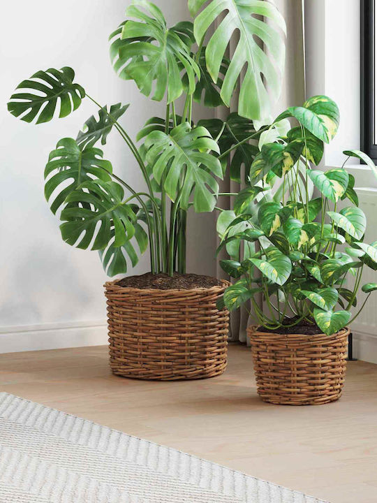 vidaXL Κασπώ Rattan Καφέ 2τμχ