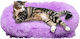 Katzenbett Fluffy Lila Fell Mωβ 50*40*13cm