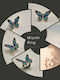 The Gem Stories Ring with Stones Gold Plated