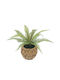 Изкуствено растение в саксийка Fern Пластмасово Brown 30см Marhome