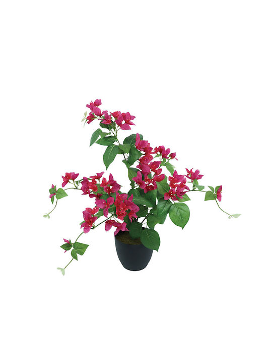 bonsai pflanztopf Traditioneller ovaler Bonsai-Blumentopf schwarz (mit Unterteller) D19c   Secret Garden Plant Shop