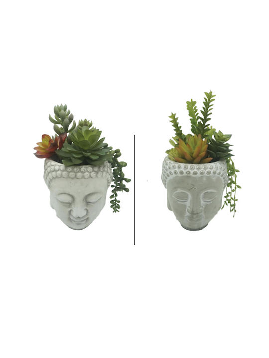 Plantă Suculentă în Ghiveci 20cm (Diverse Modele) Marhome