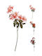 Jk Home Décor Κλαδί Cuckoo 15x65cm 3σχδ