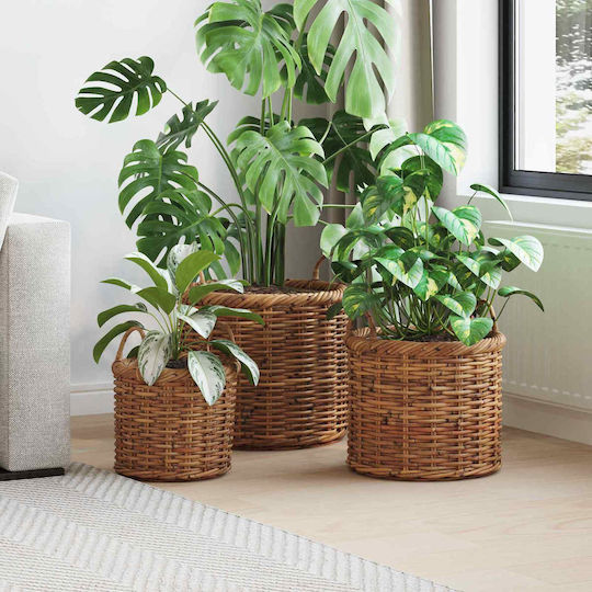 vidaXL Planter Rattan Brown