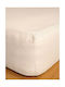 Sunshine Sheet Single with Elastic Band Cotton Feelings Ecru 100x200cm
