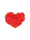 Dorosimo Red Sofa Cushion 15x15cm