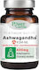 Power Health Platinum Range KSM-66 400mg 30 κάψουλες